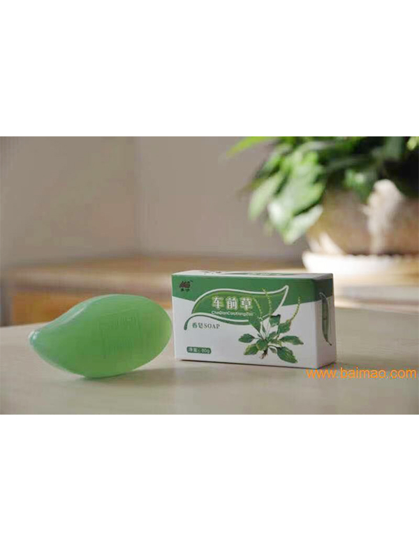 莫沙香皂（車(chē)前草）